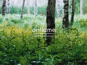 forest, nature, trees, birch-tree, Oriflame