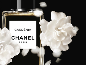 Flowers, perfume, Chanel, Gardenia