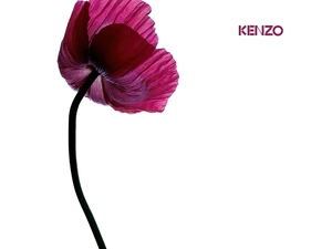 Kenzo, red weed