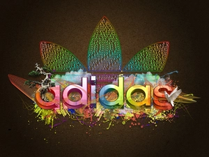 color, Adidas, birds, logo