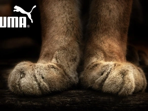 feet, Puma