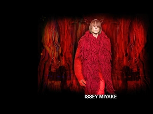 Issey Miyake, shawl, sweater, a man