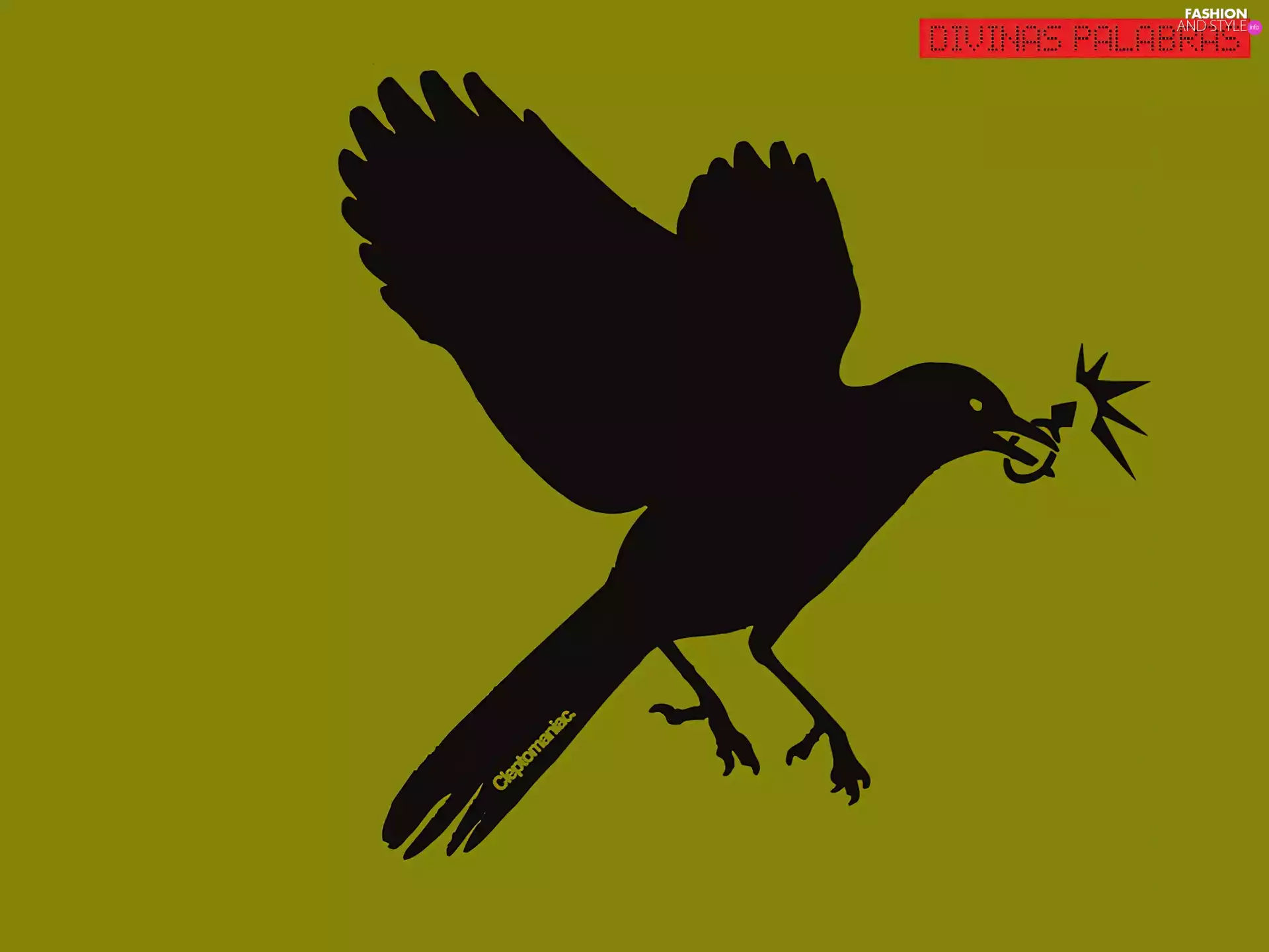 Ring, Divinas Palabras, Bird