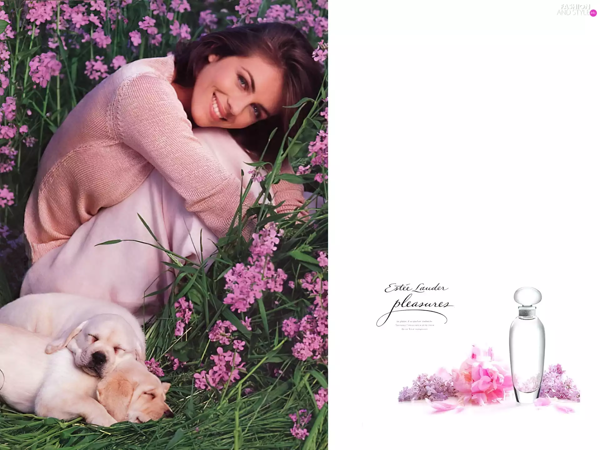 puppies, Women, perfume, Flowers, Estee Lauder, bowl, pleasures