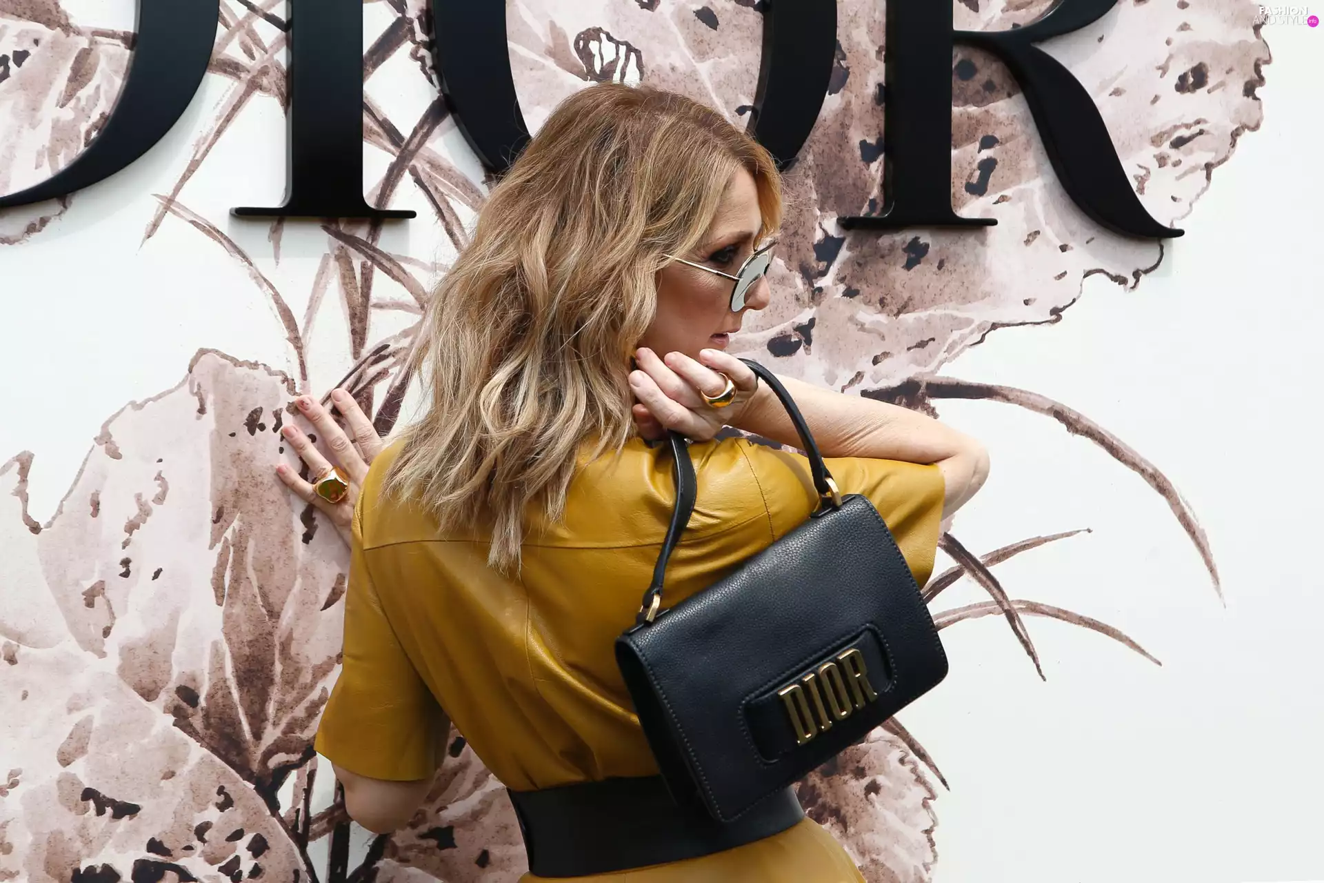 Women, Purse, Dior, Celine Dion