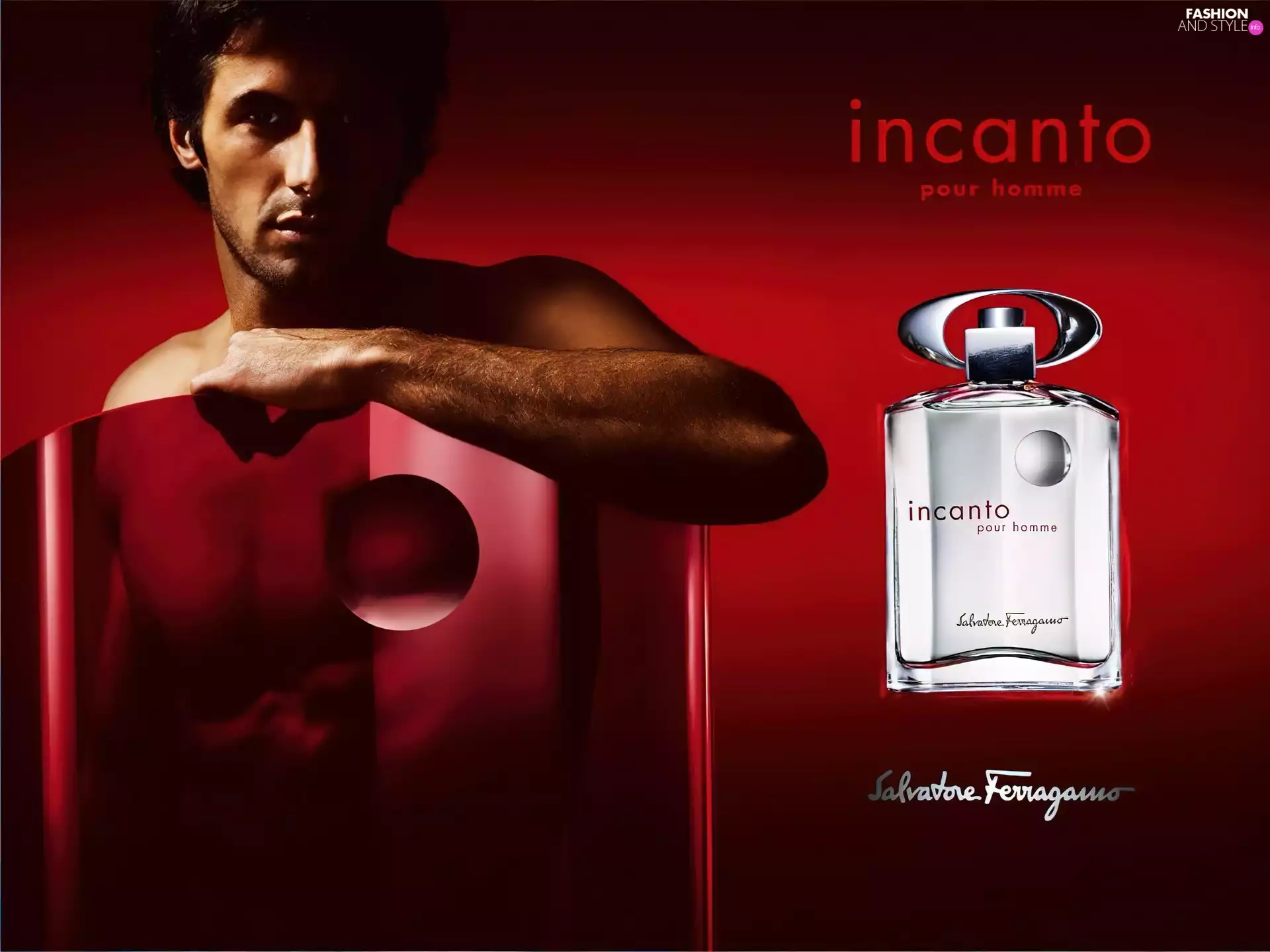 bowl, Salvatore Ferragamo, a man